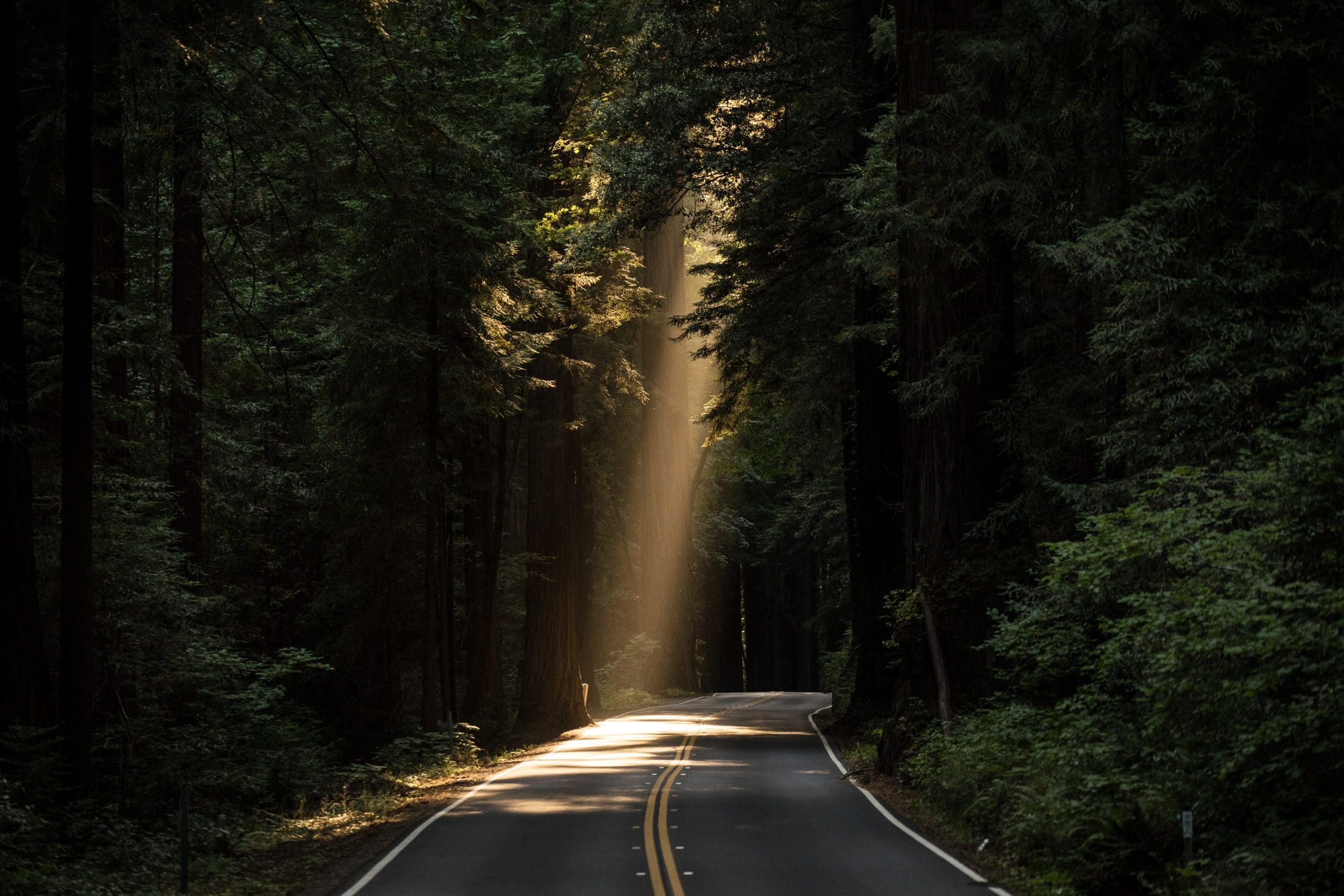Ray of light shines on a lonely dark road